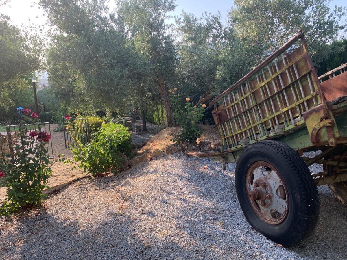 Casas Rurales Cazorla-Alcon Pozo Alcón Eksteriør billede